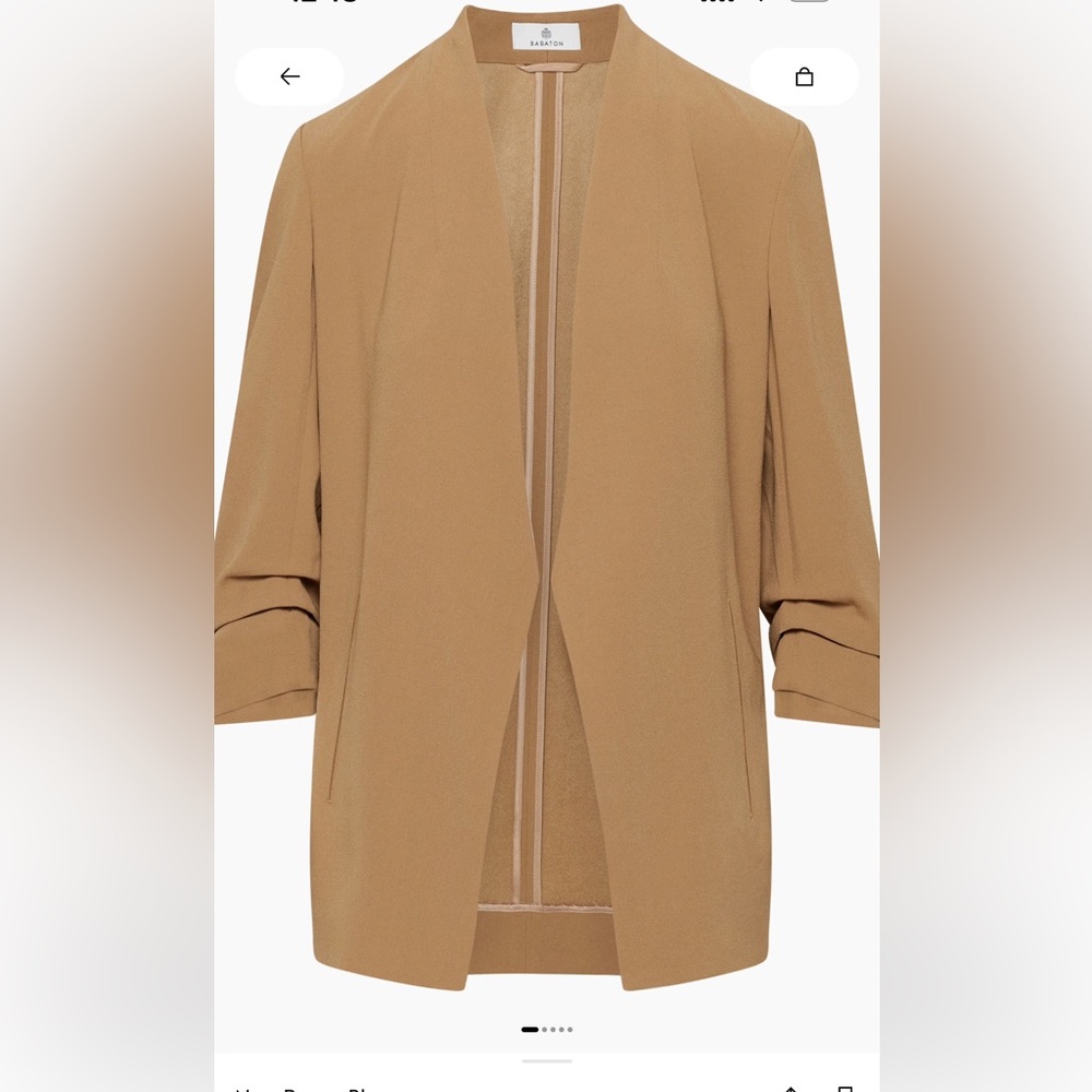 Aritzia Babaton New Power Blazer